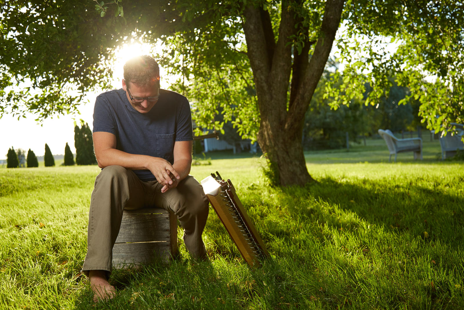 About – All About African Violets